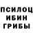 Галлюциногенные грибы Cubensis Sintaxis