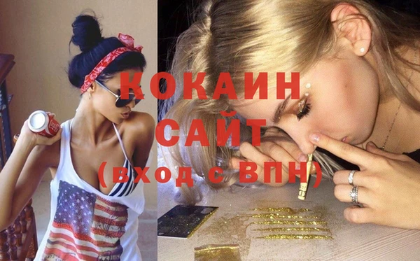 прущие грибы Волоколамск