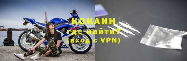 прущие грибы Волоколамск
