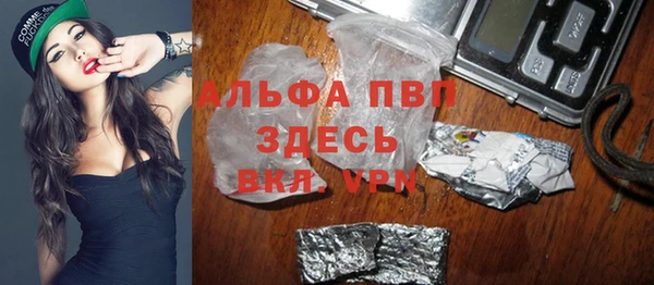 прущие грибы Волоколамск