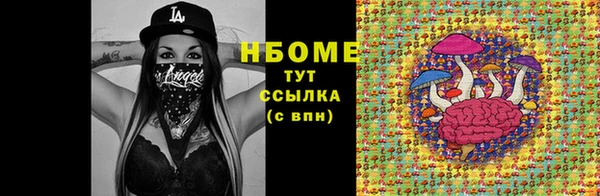 прущие грибы Волоколамск
