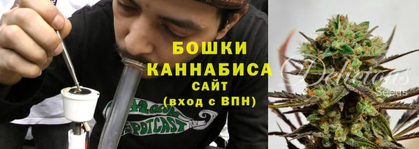 прущие грибы Волоколамск