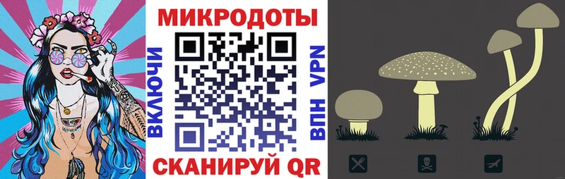 Галлюциногенные грибы Psilocybine cubensis  Ленинградская 